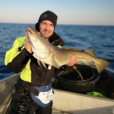 Haugesund Nature And Fishing Semesterbostad Osnes
